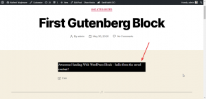 gutenberg-block-created-with-wordpress-block-front-end 3