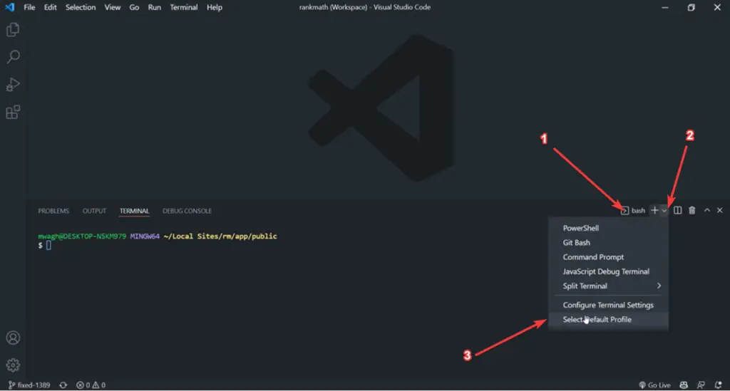 Set Default Terminal 1