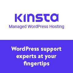 kinsta-affiliate-240x240-support-light 3