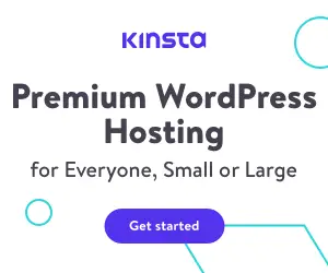 kinsta-affiliate-300x250-premium-light 3